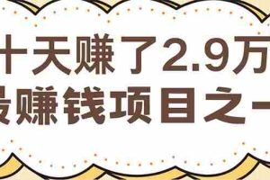 （12491期）闲鱼小红书赚钱项目之一，轻松月入6万+项目