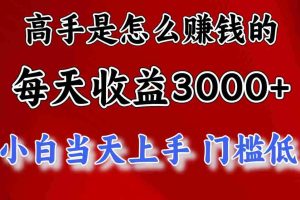 （12144期）1天收益3000+，月收益10万以上，24年8月份爆火项目