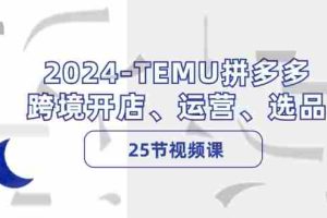 （12106期）2024-TEMU拼多多·跨境开店、运营、选品（25节视频课）