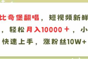（11941期）AI比奇堡翻唱歌曲，短视频新鲜赛道，轻松月入10000＋，小白快速上手，…