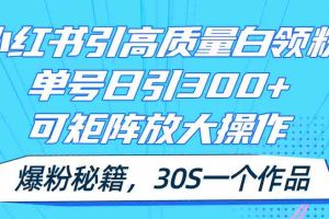 （11692期）小红书引高质量白领粉，单号日引300+，可放大操作，爆粉秘籍！30s一个作品