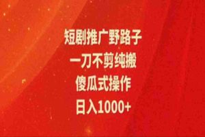 （11642期）暑假风口项目，短剧推广全新玩法，一刀不剪纯搬运，轻松日入1000+