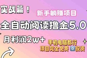 （11578期）小说全自动阅读撸金5.0 操作简单 可批量操作 零门槛！小白无脑上手月入2w+