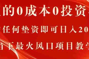 （11387期）真正的0成本0投资项目，无需任何垫资即可日入2000+，当下最火风口项目教学