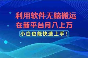 （11078期）利用软件无脑搬运，在新平台月入上万，小白也能快速上手