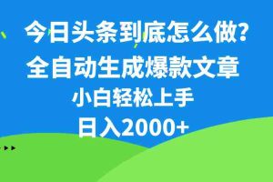 (10541期)今日头条最新最强连怼操作,10分钟50条,真正解放双手,月入1w+
