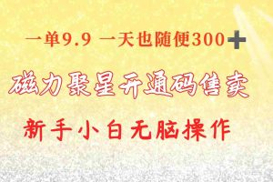 （10519期）快手磁力聚星码信息差 售卖  一单卖9.9  一天也轻松300+ 新手小白无脑操作
