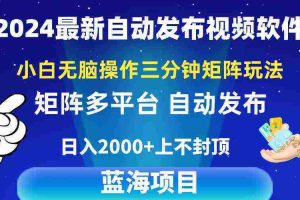 （10166期）2024最新视频矩阵玩法，小白无脑操作，轻松操作，3分钟一个视频，日入2k+