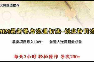 （10151期）2024年最新暴力流量打法，每日导入300+，靠卖项目月入10W+