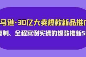 （9944期）亚马逊30亿·大卖爆款新品推广，可复制、全程案例实操的爆款推新SOP