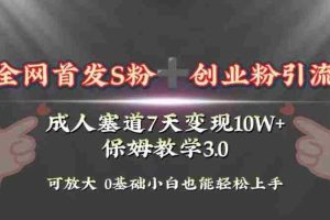（8337期）全网首发s粉加创业粉引流变现，成人用品赛道7天变现10w+保姆教学3.0