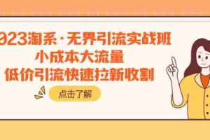 （7818期）2023淘系·无界引流实战班：小成本大流量，低价引流快速拉新收割