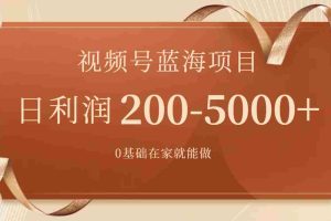 （7585期）视频号蓝海项目，0基础在家也能做，日入200-5000+【附266G资料】