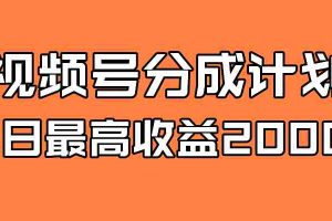 （7557期）全新蓝海 视频号掘金计划 日入2000+
