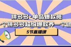 （7019期）拼多多·单品爆款班，一个拼多多超级爆款养一个团队（5节直播课）