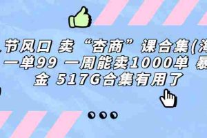 （6917期）情人节风口 卖“杏商”课合集(海王秘籍) 一单99 一周能卖1000单 暴…