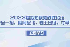 （6738期）2023爆款短视频致胜招法，学会一招，瞬间起飞，卷王出征，寸草不生