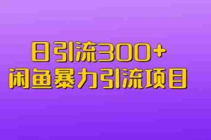 （6694期）日引流300+闲鱼暴力引流项目