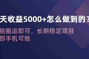 (6435期)一天收益5000+怎么做到的?无脑搬运即可,长期稳定项目,一部手机可做