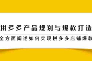 （2181期）拼多多产品规划与爆款打造，全方面阐述如何实现拼多多店铺爆款