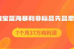 （2054期）淘宝蓝海暴利非标品先品思路，7个月37万纯利润，压箱干货分享！