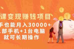 （1990期）网课变现赚钱项目：新手也能月入30000+1部手机+1台电脑就可长期操作