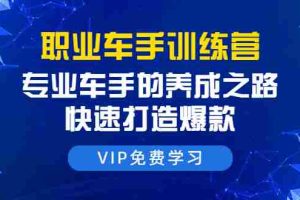 （1485期）职业车手训练营：专业车手的养成之路，快速打造爆款（8节-无水印直播课）