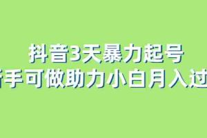 （6177期）抖音3天暴力起号新手可做助力小白月入过万