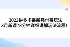 （5260期）2023拼多多最新强付费玩法，3月新课​78分钟详细讲解玩法流程！