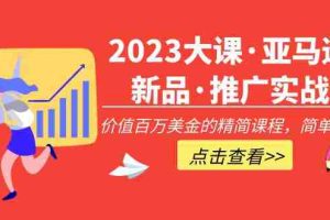 （5005期）2023大课·亚马逊新品·推广实战：价值百万美金的精简课程，简单粗暴！