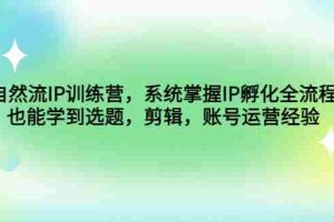 （4688期）自然流IP训练营，系统掌握IP孵化全流程，也能学到选题，剪辑，账号运营经验