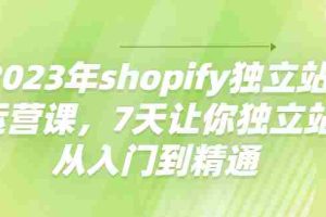 （4230期）2023年shopify独立站运营课，7天让你独立站从入门到精通
