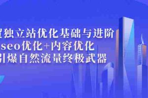 （3682期）外贸独立站优化基础与进阶，seo优化+内容优化+引爆自然流量终极武器