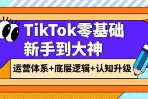 （3680期）TikTok零基础新手到大神：运营体系+底层逻辑+认知升级（9节系列课）