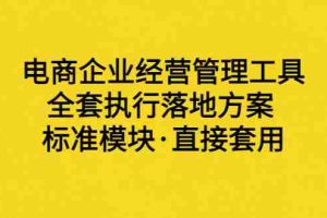 （3439期）外面卖198·电商企业经营管理工具：全套执行落地方案 标准模块·直接套用