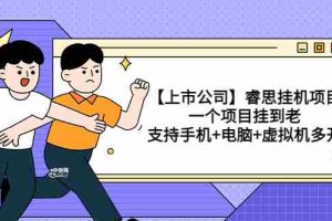 （3295期）【上市公司】睿思挂机项目，一个项目挂到老，支持手机+电脑+虚拟机多开