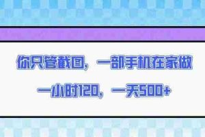 （13785期）你只管截图，一部手机在家做，一小时120，一天500+