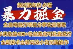 （13675期）2025暴力掘金项目，想过肥年必看！