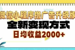 （13362期）微信小程序撸广告6.0升级玩法，全新变现方式，日均收益2000+