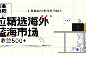 （13191期）海外全新空白市场，小白也可轻松上手，年底最后红利