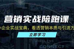 （13146期）营销实战陪跑课：中小企业实战宝典，看透营销本质与引流方法论