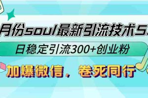 （12772期）9月份soul最新引流技术5.0，日稳定引流300+创业粉，加爆微信，卷死同行