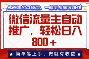 （13993期）微信流量主自动推广，轻松日入800+，简单易上手，做就有收益。