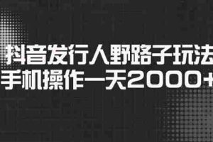 （14068期）抖音发行人野路子玩法，手机操作一天2000+
