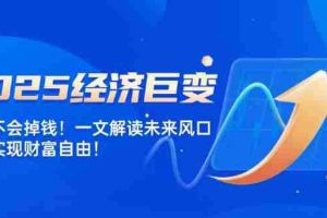 （14115期）2025经济巨变，天上不会掉钱！一文解读未来风口，助你实现财富自由！