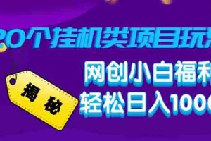 （14168期）揭秘20种挂机类项目玩法，网创小白福利轻松日入1000+