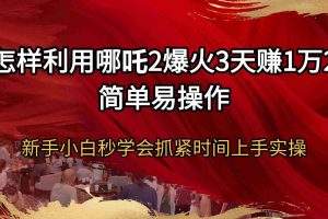 （14245期）怎样利用哪吒2爆火3天赚1万2简单易操作新手小白秒学会抓紧时间上手实操