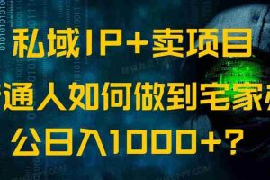 （14400期）私域IP+卖项目，普通人如何做到宅家办公实现日入1000+