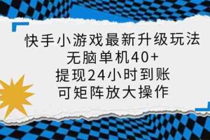 （14166期）快手小游戏最新版升级玩法，新风口，无脑单机日入40+，可批量放大，小…