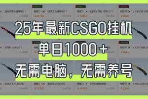 （14178期）25年最新CSGO挂机系统，单日1000+，无需电脑，无需养号，0基础可上手